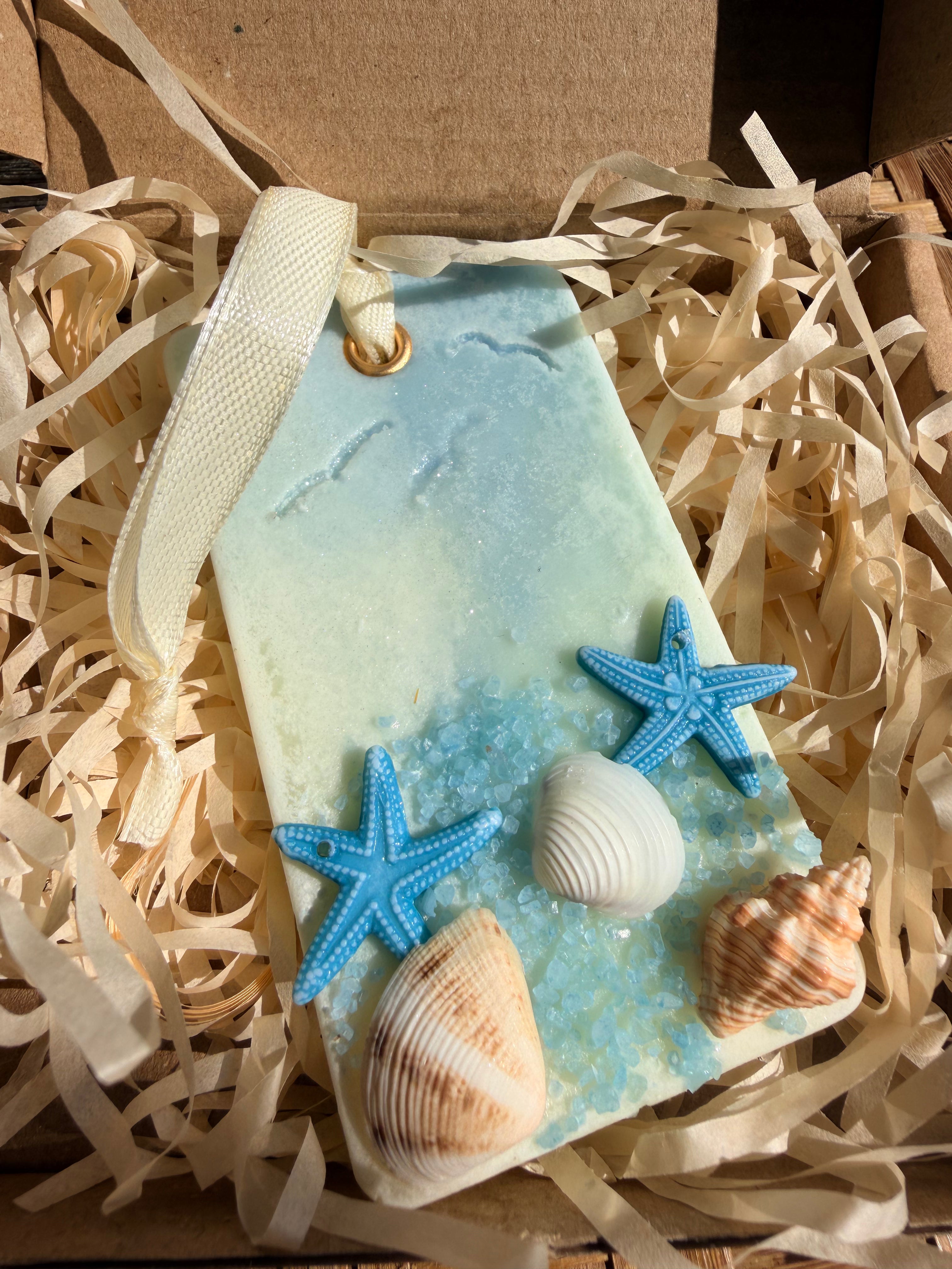 Coastal Inspired Scented Hanging Wax Disc