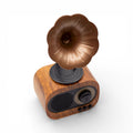 Retro Mini Gramophone Speaker - Bluetooth & FM Radio