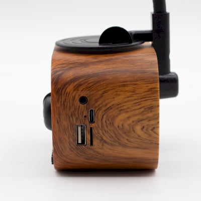 Retro Mini Gramophone Speaker - Bluetooth & FM Radio