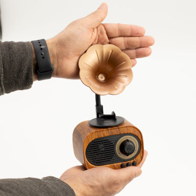 Retro Mini Gramophone Speaker - Bluetooth & FM Radio